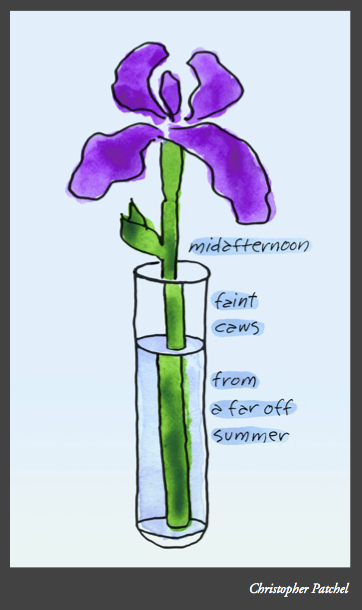 Lidia Rozmus haibunga