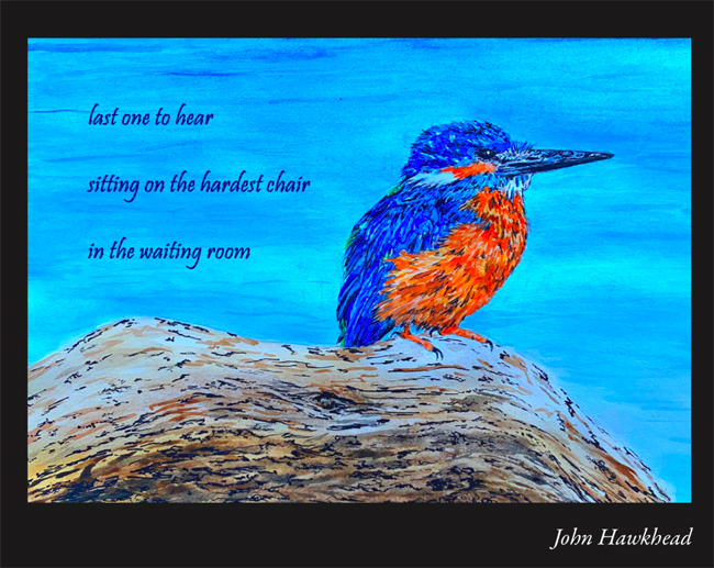 haiga by Sandi Pray