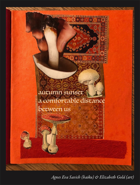 haiga by Sandi Pray